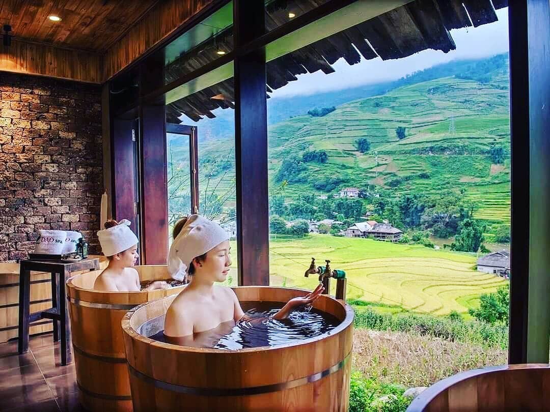 The Healing Steam — Tea, Herbs, and the Wisdom of the Mountains